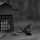 Illustration for article titled National Wetlands Day
